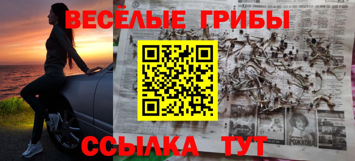 Псилоцибиновые грибы Psilocybe  Вход с VPN  сколько стоит  Кирово-Чепецк 